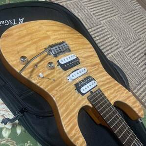 T’s Guitars DST-Pro24 マホガニーリミテッドの画像9