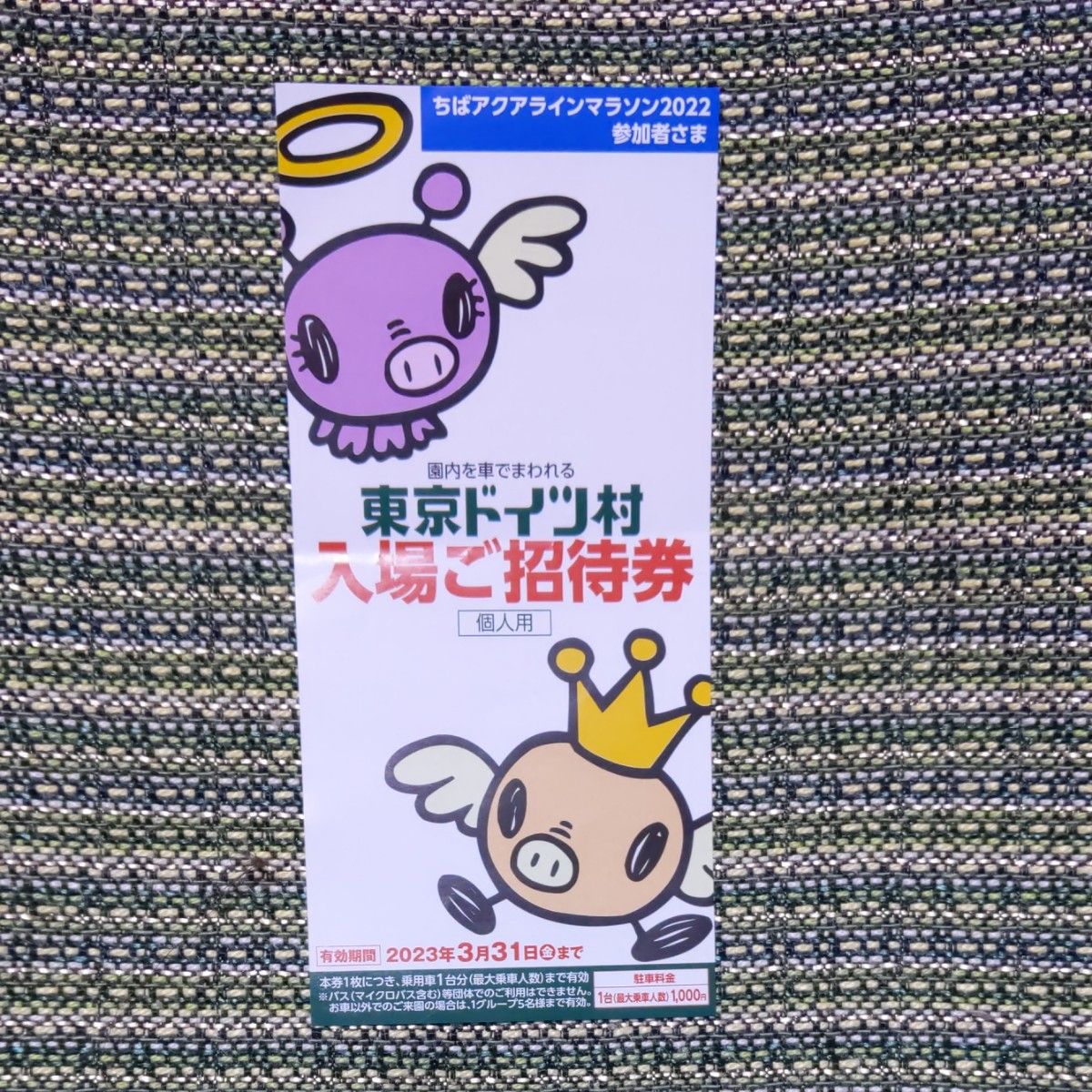 最大86%オフ! ミクロアドベンチャー オープン記念チケット 10枚 tco.it