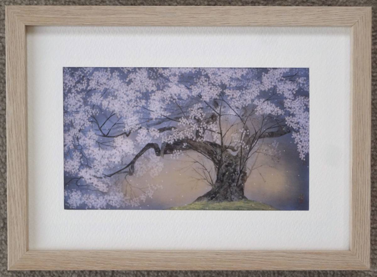 人気★中島千波★【天照教の桜】貴重な画集から新品額装, 絵画, 日本画, 花鳥, 鳥獣