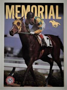 ( free shipping horse racing trading card ) Max view tiMEMORIAL M19 memorial card Bandai Thoroughbred Card 95 year version 