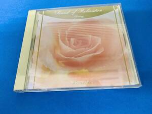 Sound of Relaxation Spring Kanebo 非売品　　＜中古CD＞ 