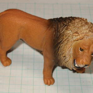 Schleich シュライヒ 14726 ワイルドライフ★フィギュア 「ライオン (吠える) 」LION ROARING の画像1