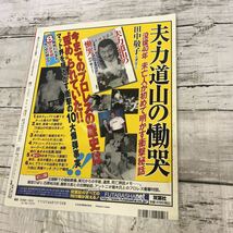 i931 週刊ゴング増刊号『世界名レスラー100人伝説！』2003年10月発行 ◎シャープ兄弟からミル・マスカラスまで～_画像2