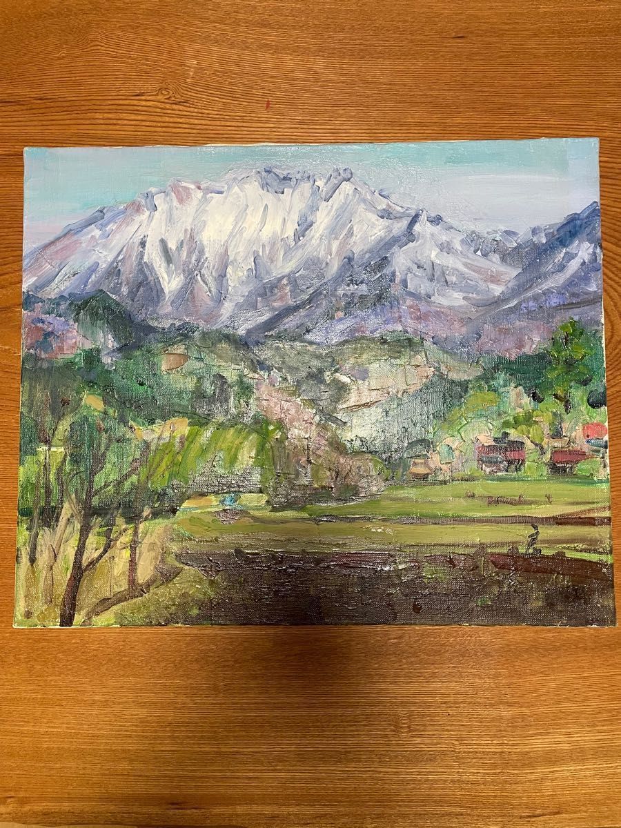 沢健 『山村』 油彩 油絵 絵画 原画 肉筆 額装 直筆画 bak.unimed.ac.id