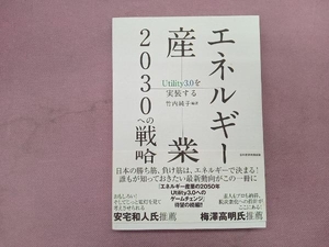 エネルギー産業 2030への戦略 竹内純子