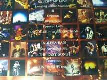 DVD X JAPAN THE LAST LIVE 完全版_画像7
