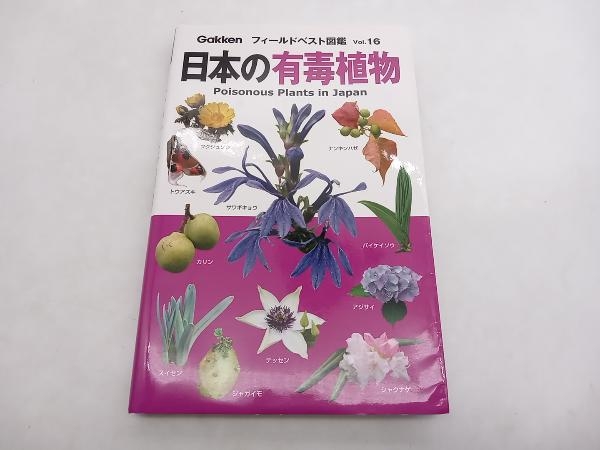 極 美品 クリスチャンディオール CD ロゴ レザー 本革 ミニ ショルダー ...