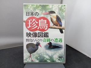 DVD シンフォレストDVD 日本の珍鳥映像図鑑 野鳥たちとの奇跡の遭遇