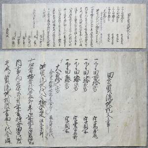 古文書 文政二年 田方質流地證文之事 竹万代村 未解読 詳細不明 新潟県