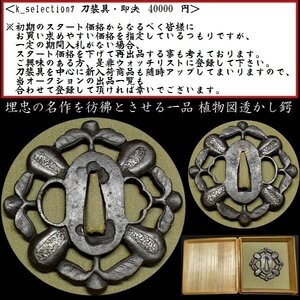 【刀装具 #2676 限定 謝恩SALE！】 （鍔） 無銘 植物（蕾）図透かし　鉄地鍔　象嵌 銀色絵 【埋忠の名作を彷彿とさせる一品】