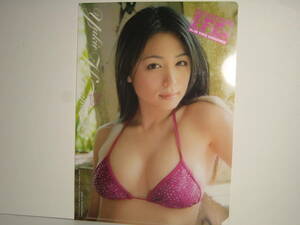  Kawamura Yukie *B5 clear file * Young Champion special appendix 