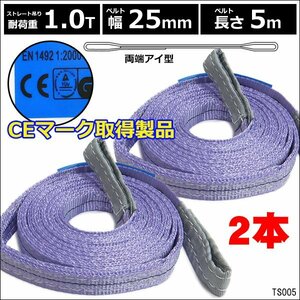 CE規格品 ベルトスリング 幅25mm×5m [2本] ストレート吊 耐荷重 1.0t 両端アイ型 スリングベルト/23