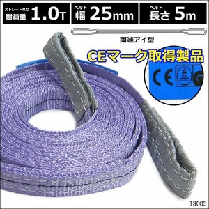 CE規格品 ベルトスリング 幅25mm×5m [1本] ストレート吊 耐荷重 1.0t 両端アイ型 スリングベルト/20