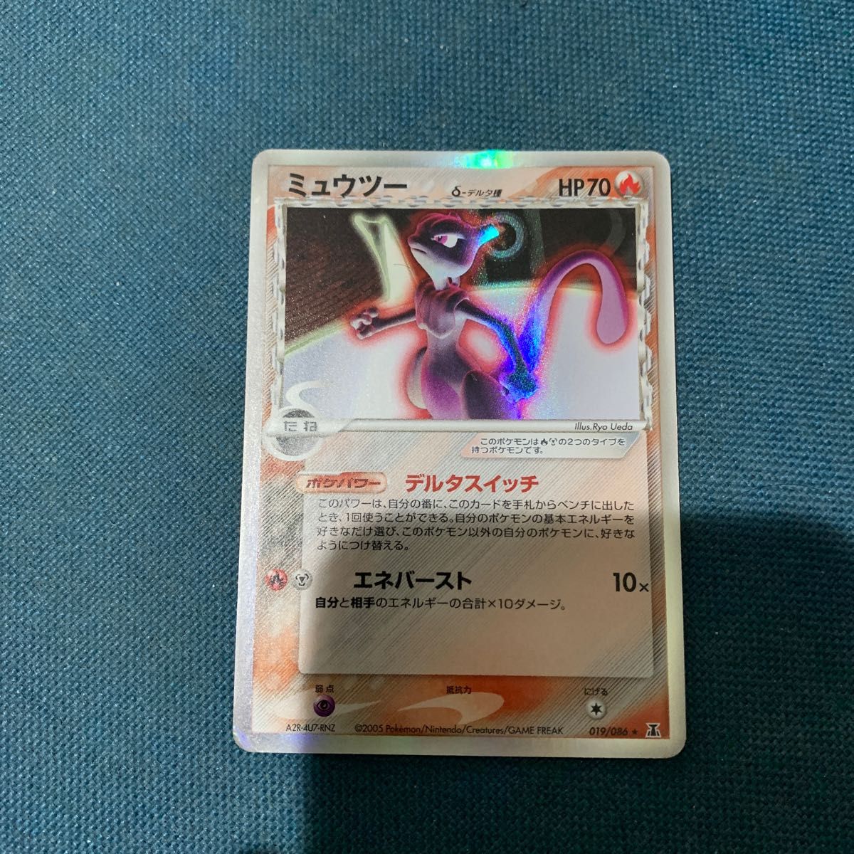 ブラッキー デルタ種 carlo.mx