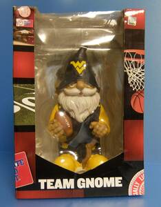 team gnome waste to bar jinia university american football used 