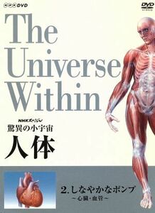 ＮＨＫスペシャル　驚異の小宇宙　人体　しなやかなポンプ〈心臓・血管〉／タモリ,小出五郎,山根基世