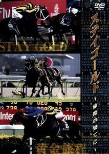  stay Gold ... ...|( horse racing )