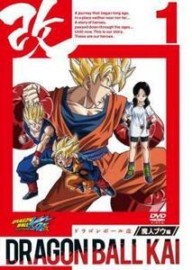 ドラゴンボール改 魔人ブウ編 全7枚 第99話～第119話 レンタル落ち セット 中古 DVD