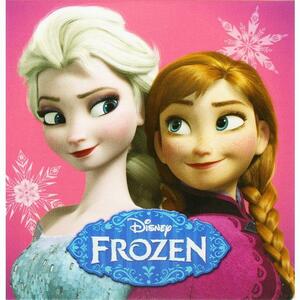 ディズニー ボックスメモ 付箋 アナと雪の女王