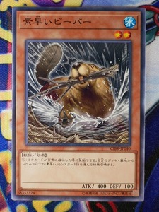 ◇A8273◇遊戯王OCG・素早いビーバー ノーマルレア CIBR-JP040・美品◇