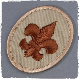 PE07 ボーイスカウト BSA ワッペン パッチ ロゴ エンブレム 輸入雑貨 刺繍 ゆり 紋章