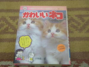  かわいいネコ 小学館ミニレディー百科シリーズ　