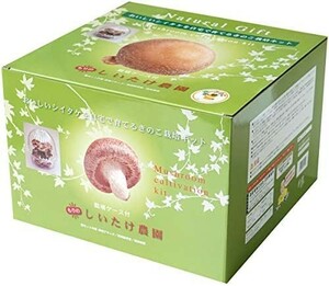 【送料無料】シイタケ栽培キット 【もりのしいたけ農園栽培容器付】