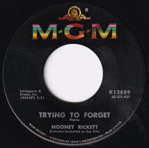 Nooney Rickett - Heaven On Earth / Trying To Forget Teener vocal ballad_画像3