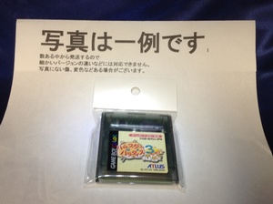 中古C★ハムスターパラダイス 3 (C★ゲームボーイソフト