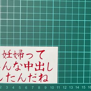 カッティングステッカー 車 バイク シール 詩 ステッカー トラック おもしろ デコトラ 下ネタ ポエム 文字 ジョーク