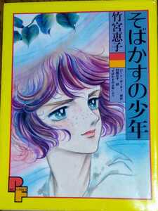 【絶版】「そばかすの少年」竹宮恵子 ジーン・ポーター 村岡花子 フォアレディコミックス