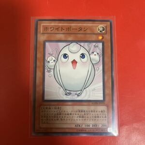 遊戯王 . ホワイトポータン