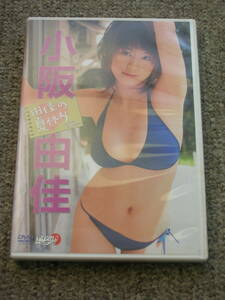 ☆即決あり☆国内正規盤DVD☆小阪由佳『アイドルニッポン 由佳の夏休み』☆ミスマガジン2004グランプリ☆セル版☆こさかゆか☆送料185円～