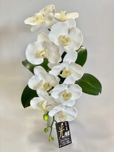  высококлассный . бабочка орхидея белый живые цветы. подобный полимер biniru производства искусственный цветок интерьер, подарок,. видеть Mai ., праздник,... тоже рекомендация 
