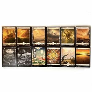 MTG 日本語 フルアート 基本土地 基本地形 コンプリート 拡張枠 人気絵柄