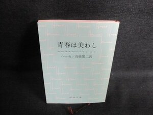 青春は美わし　ヘッセ　日焼け有/GCP