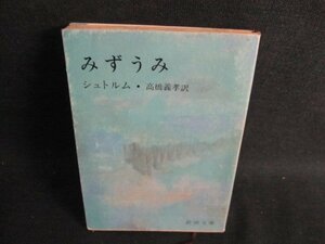 みずうみ　シュトルム　日焼け有/GEN