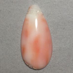 e56 天然 煌 本珊瑚 ルース 19.70 ct 3.94 g