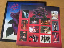 □ THIN LIZZY BLACK ROSE 日本盤初版宇宙船レーベル　美盤！_画像3