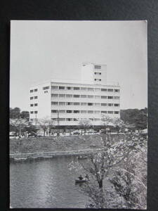 feya-monto hotel #Fairmont Hotel# Sakura # thousand bird ..# You min#.. hour # monochrome -m# old picture postcard 