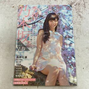 未開封品　デッドストック　倉庫保管品　写真集　季刊　乃木坂　vol.1 早西野七瀬　井上小百合　樋口日菜　中田花奈　若月佑美　桜井玲香