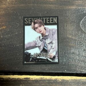 SEVENTEEN グミ ぐみ ジョシュア セブチ レア