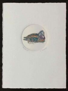  bird ① woodcut etching? ED less title * author autograph equipped 