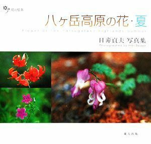 八ヶ岳高原の花・夏 日ビ貞夫写真集 花の絵本Ｖｏｌ．１０／日び貞夫【著】