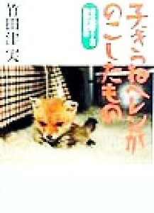 子ぎつねヘレンがのこしたもの 森の獣医さんの動物日記２／竹田津実(著者),岩本久則