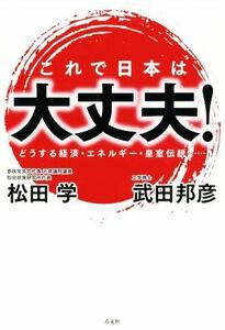 これで日本は大丈夫！ どうする経済・エネルギー・皇室伝統／武田邦彦(著者),松田学(著者)