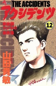 アクシデンツ(１２) 事故調クジラの事件簿 サンデーＣ／山田貴敏(著者)