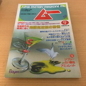 月刊　ムー　1988年9月号　地磁気逆転の恐怖