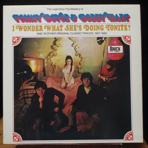 【SR819】TOMMY BOYCE & BOBBY HART「I Wonder What She's Doing Tonite? And 19 Other Original Classic Tracks, 1967-1969」