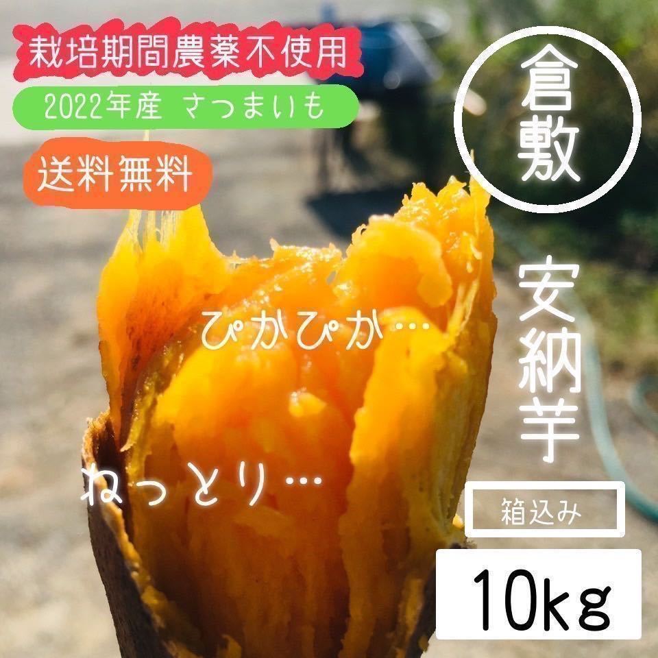 【群馬県産】こんにゃく芋 箱込み20kg以内 手作りこんにゃく用【小さめサイズ】 | aafsil.org